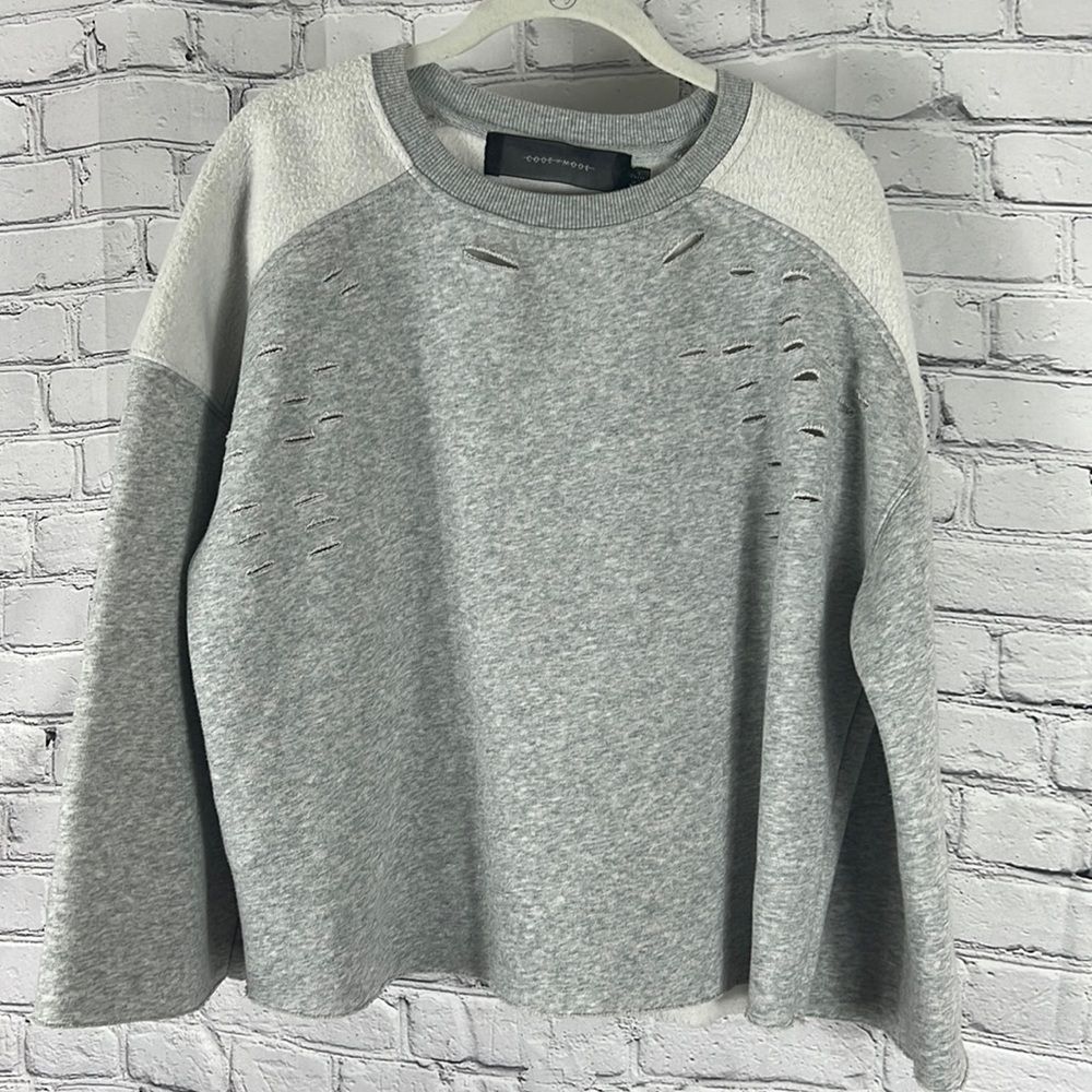 Gray Distressed Sweatshirt